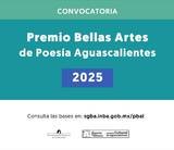 Abren Convocatoria Para Premio Bellas Artes De Poes A Aguascalientes El Sol Del Centro